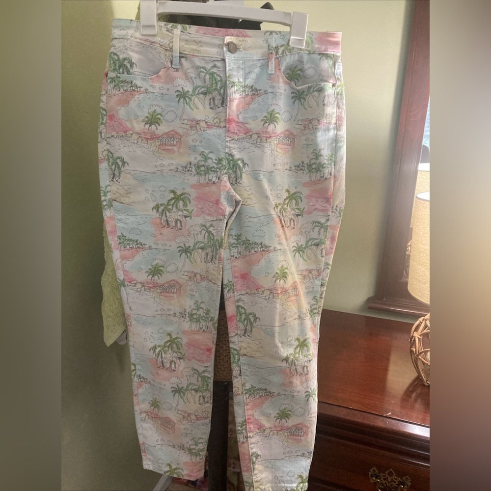 Talbots coastal size 10